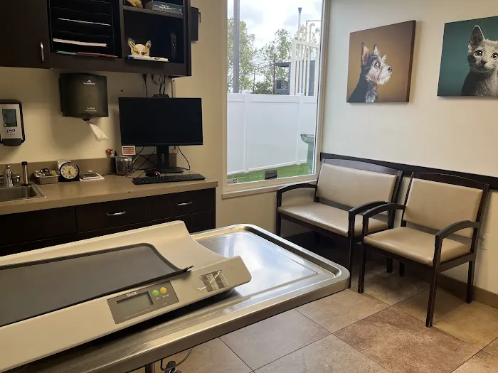 VCA Los Altos Animal Hospital Picture 4