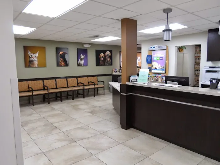 VCA Los Altos Animal Hospital Picture 9