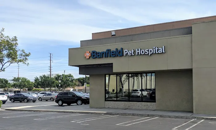 Banfield Pet Hospital Picture 4