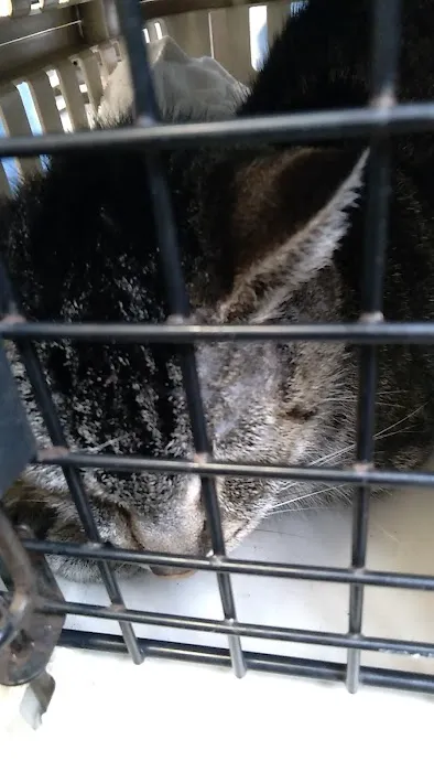Banfield Pet Hospital Picture 6