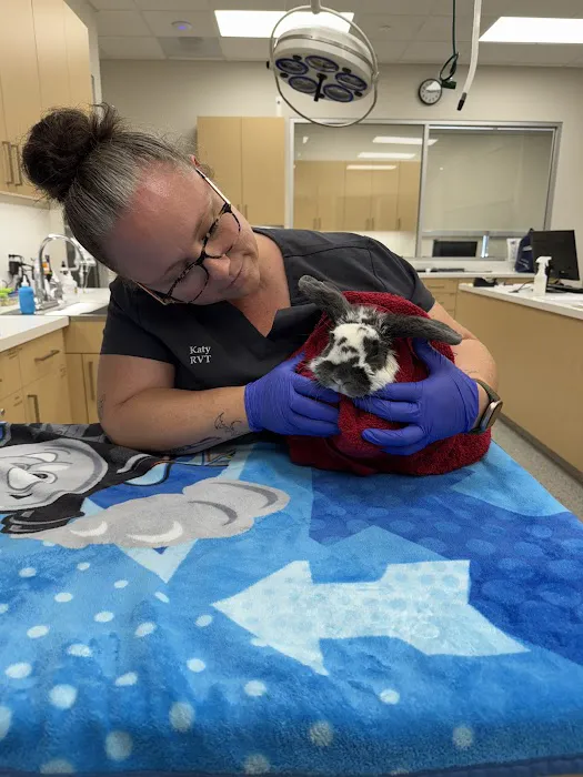 Top Choice Animal Hospital Picture 10