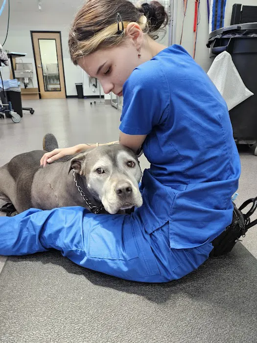 Stitches Veterinary Surgery Picture 10