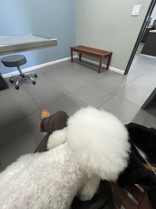 Ciel Animal Hospital Picture 3