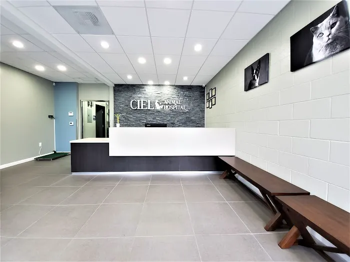 Ciel Animal Hospital Picture 5