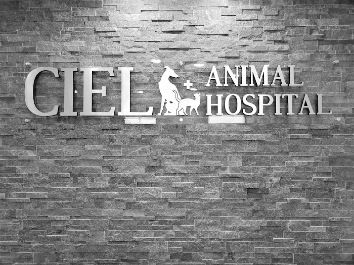 Ciel Animal Hospital Picture 9