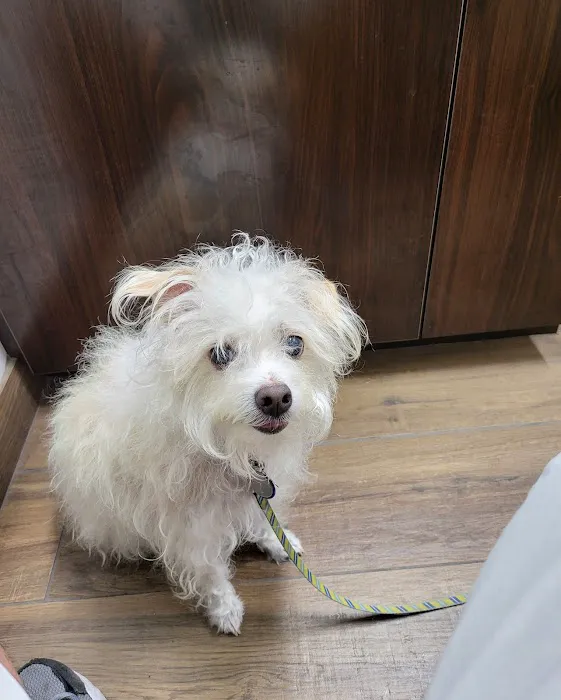 County Line Animal Hospital Picture 2
