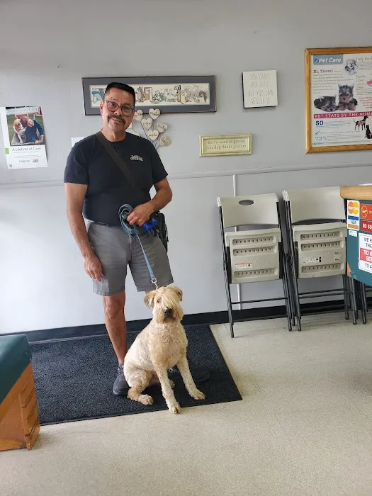 La Mirada Animal Health Center Picture 2