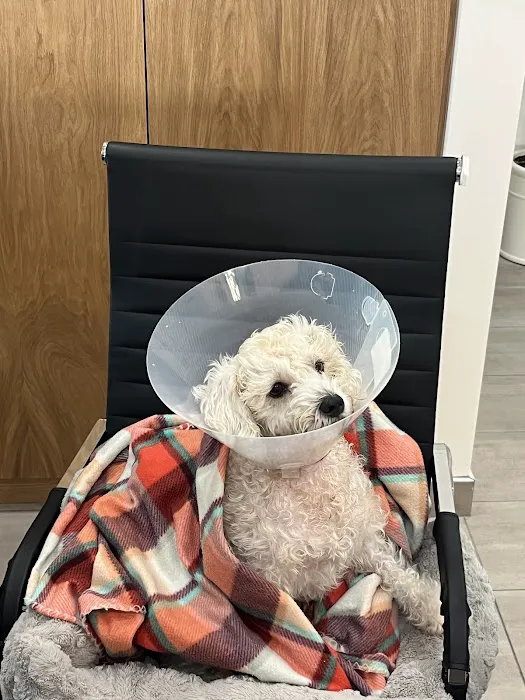 Cerritos Animal hospital Picture 1