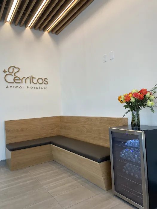 Cerritos Animal hospital Picture 4
