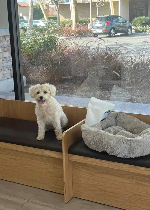 Cerritos Animal hospital Picture 3
