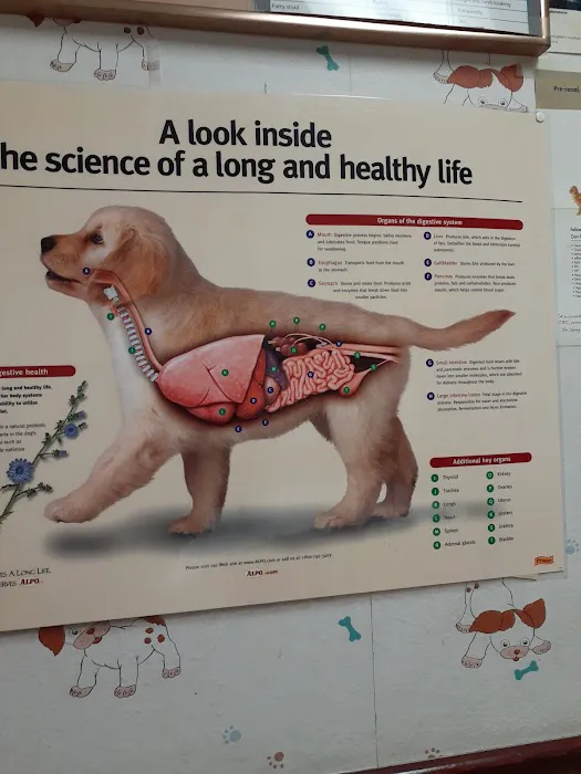 Walker Street Dog & Cat Hospital Picture 4