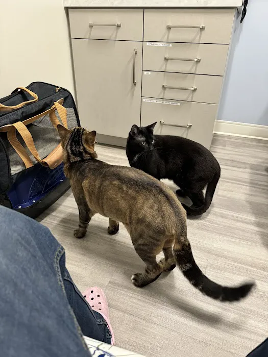 Aspire Veterinary Center Picture 1