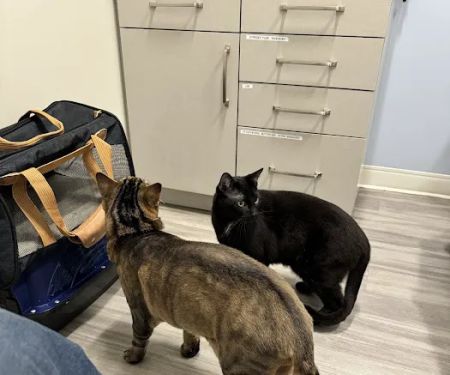 Aspire Veterinary Center