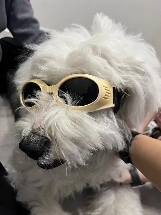 Aspire Veterinary Center Picture 10