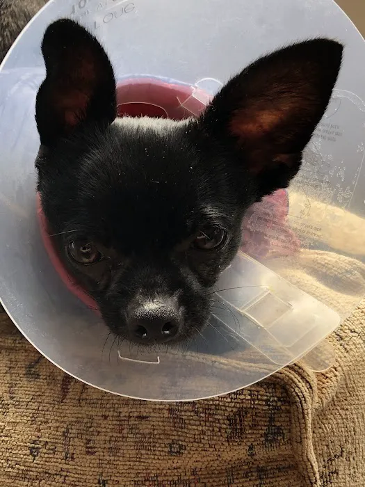 Vetco Total Care Animal Hospital Picture 2