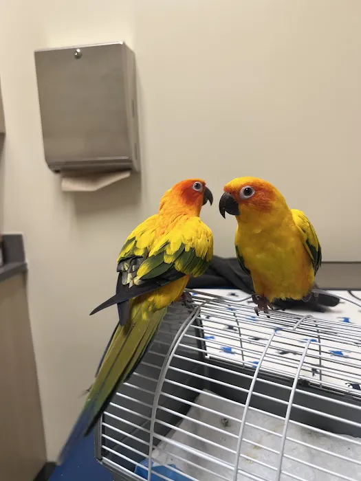 Vetco Total Care Animal Hospital Picture 5