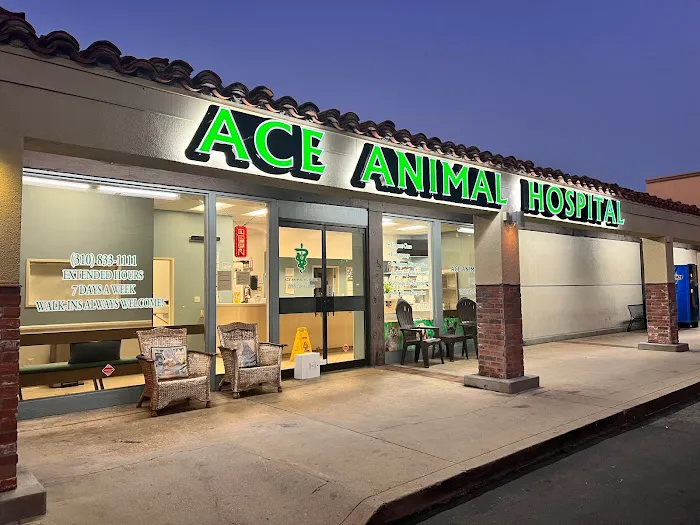 Ace Animal Hospital Picture 4