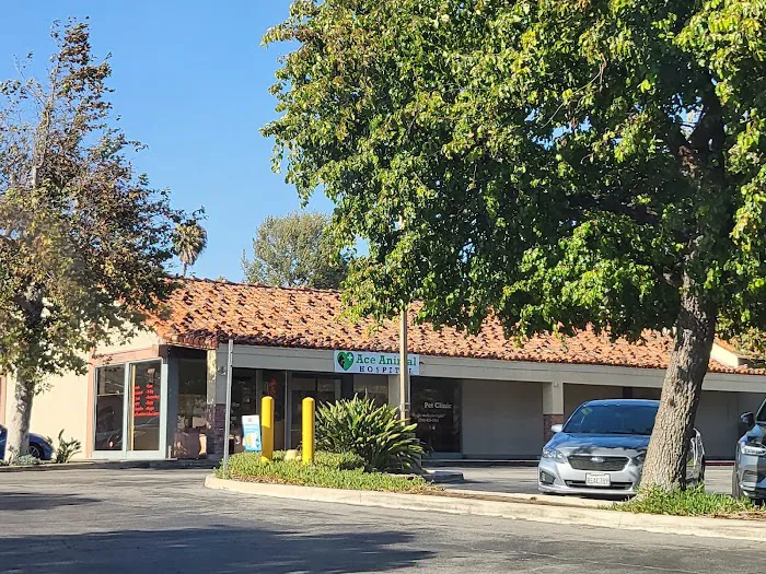 Ace Animal Hospital Picture 10