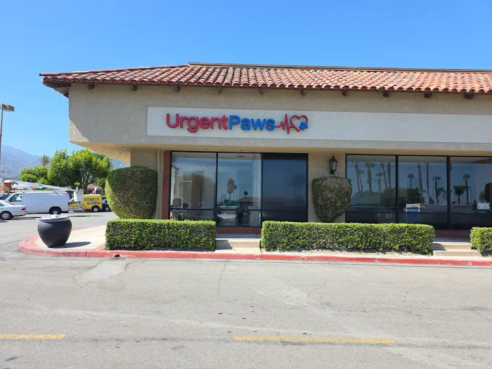 UrgentPaws Picture 9