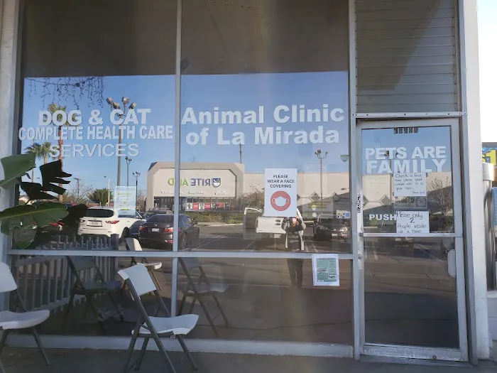 Animal Clinic of La Mirada Picture 2