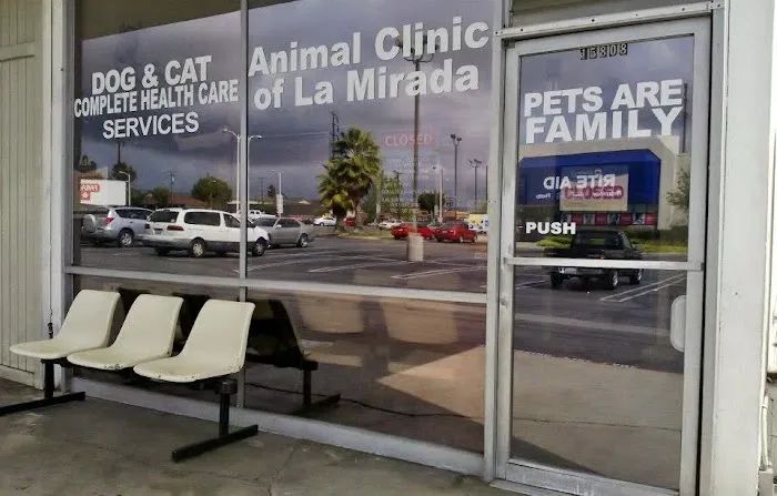 Animal Clinic of La Mirada Picture 5
