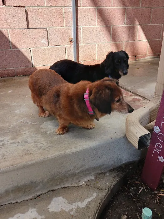 Greggs Animal Hospital Inc Picture 4