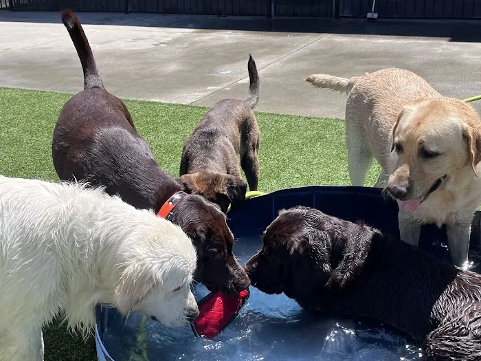 VCA La Mirada Animal Hospital Picture 1