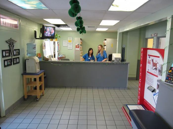 VCA La Mirada Animal Hospital Picture 2