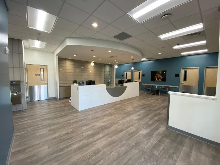 VCA La Mirada Animal Hospital Picture 8