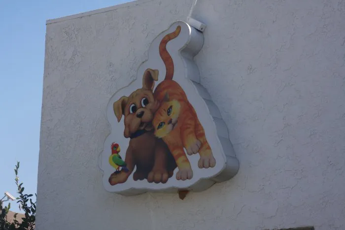 VCA La Mirada Animal Hospital Picture 5