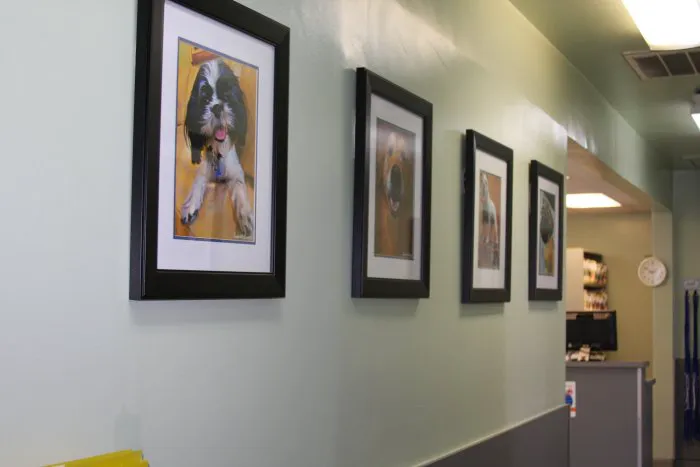VCA La Mirada Animal Hospital Picture 3