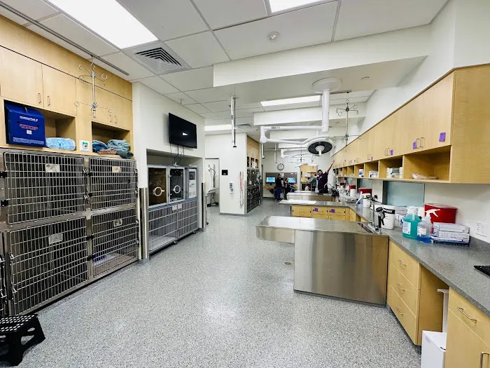 VCA La Mirada Animal Hospital Picture 9