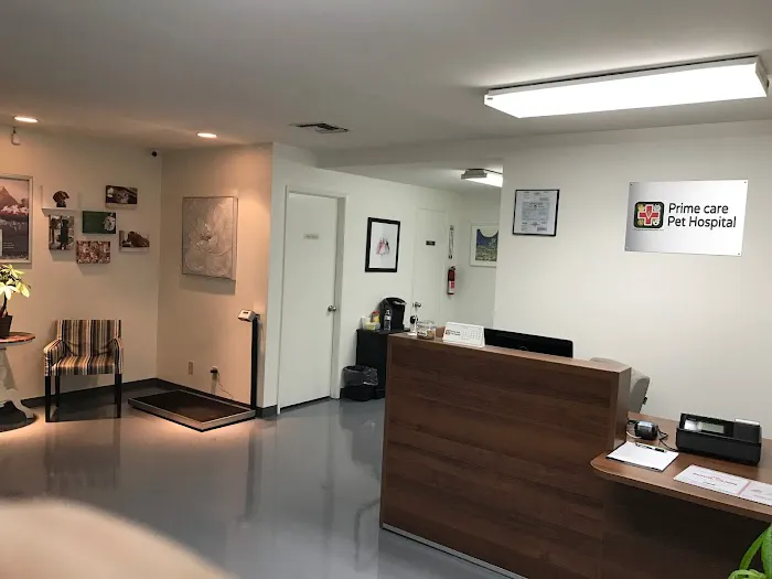 Prime Care Pet Hospital Picture 5