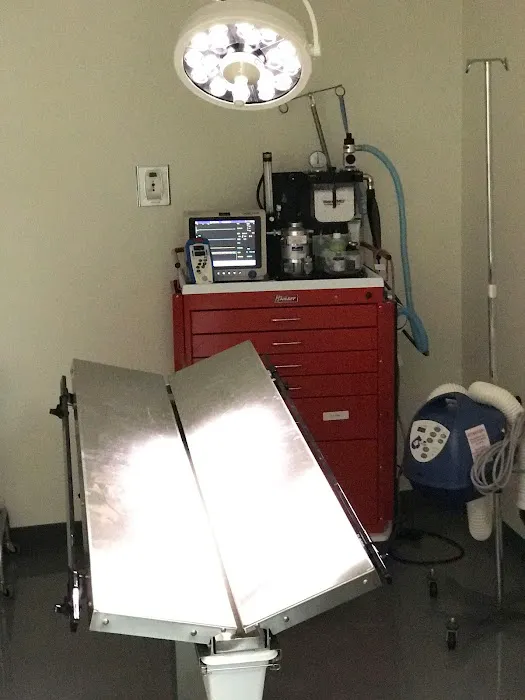 Prime Care Pet Hospital Picture 6
