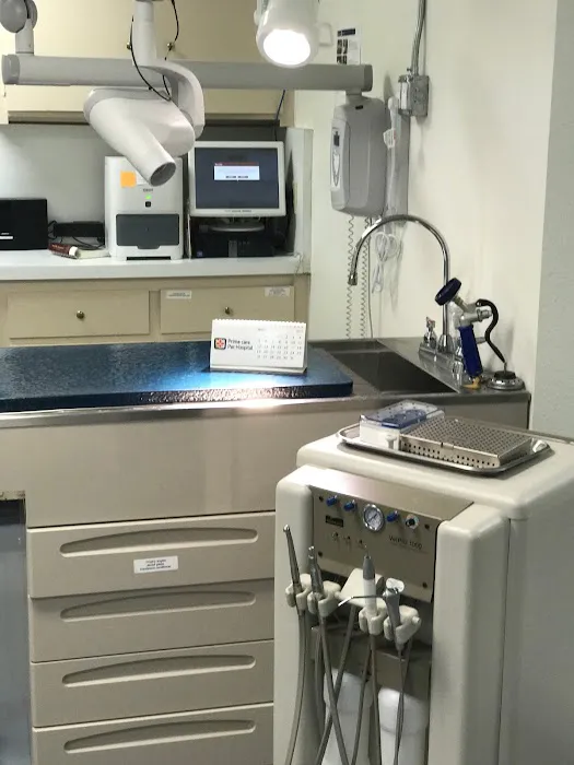 Prime Care Pet Hospital Picture 9