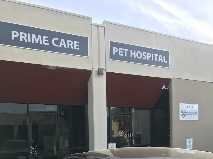 Prime Care Pet Hospital Picture 7