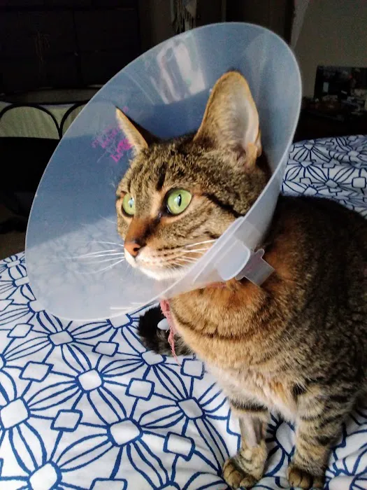La Habra Animal Hospital Picture 4