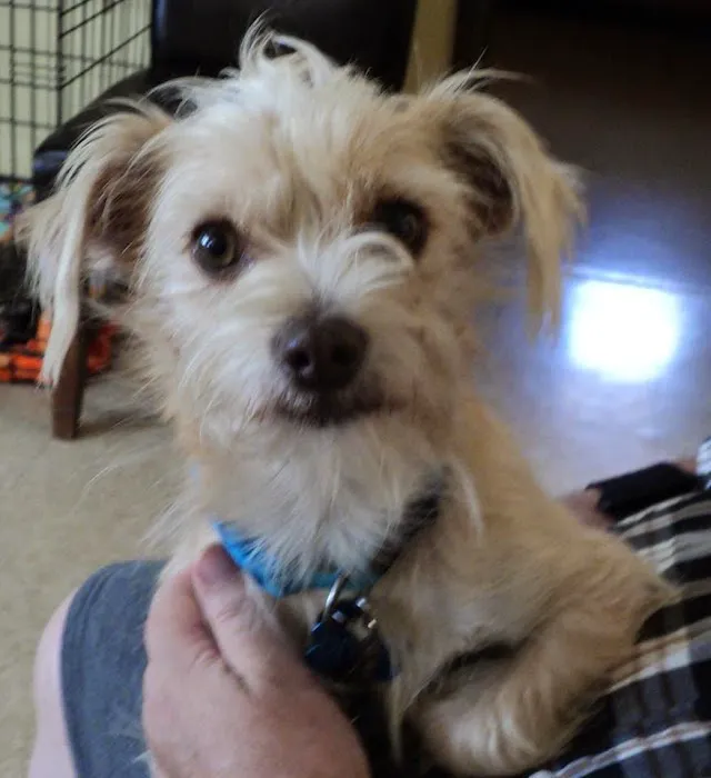La Habra Animal Hospital Picture 7