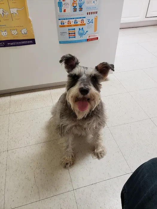 Petra Pet Clinic Picture 7