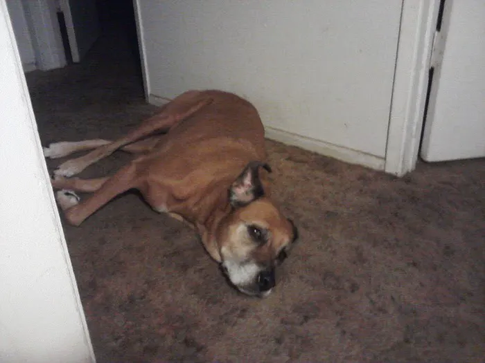 Alpine Animal Hospital Picture 7
