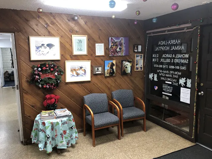 Habra Linda Animal Hospital Picture 7