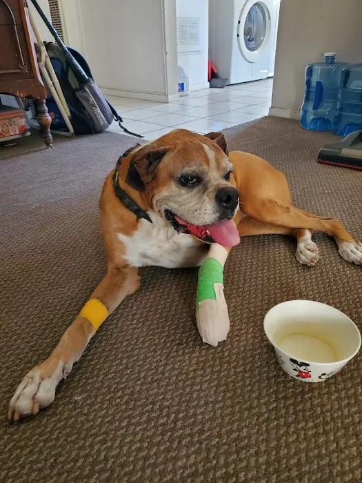 St Francis Animal Hospital Picture 8