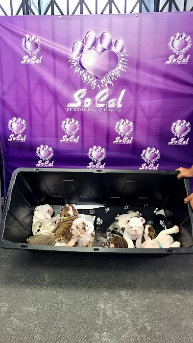 SoCal K9 Clinic City of Industry Picture 6