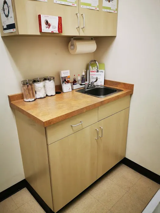 Arc Animal Hospital Picture 3