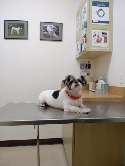 Arc Animal Hospital Picture 7