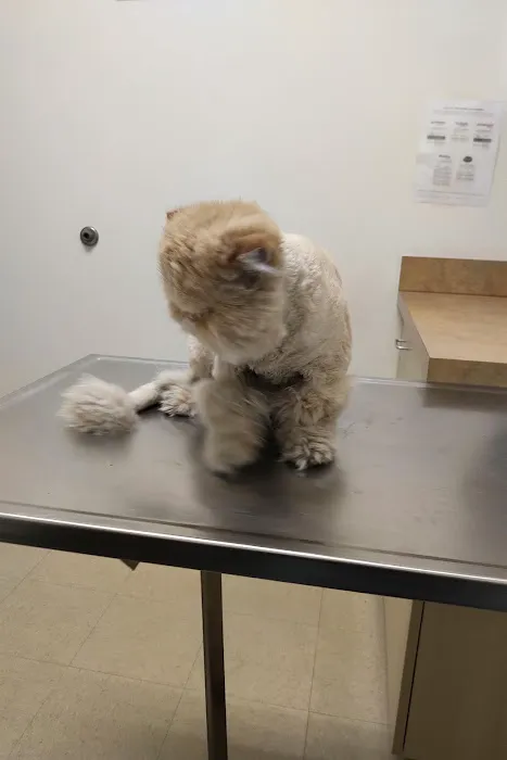 Arc Animal Hospital Picture 10