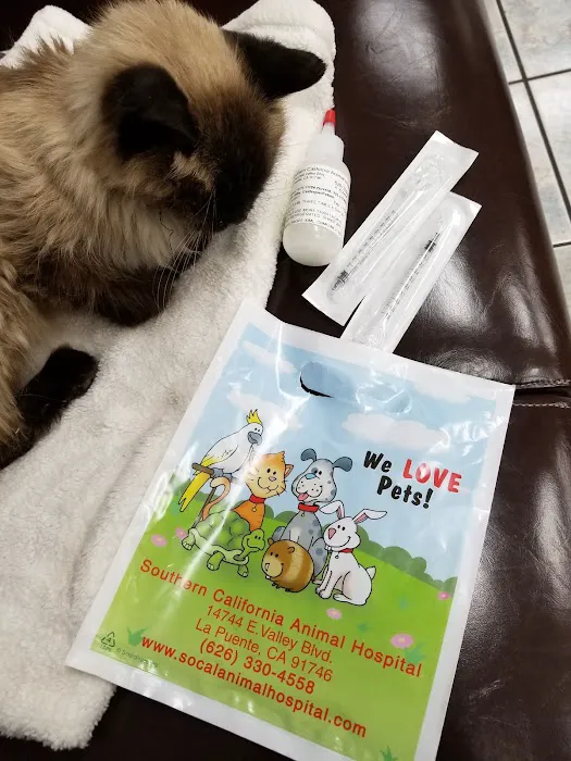 Southern California Animal Hospital Picture 10