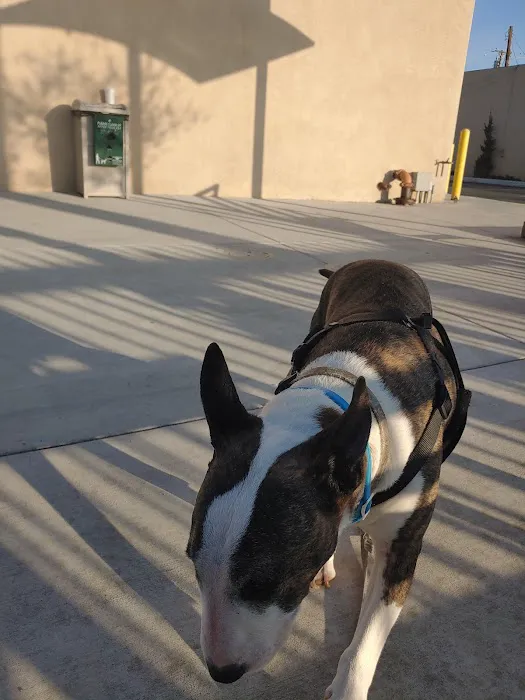 Amar Glen Veterinary Hospital Picture 8