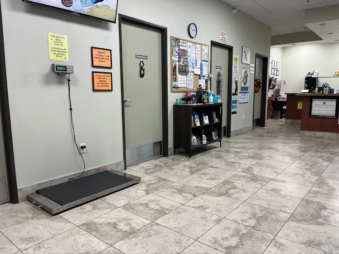 Amar Glen Veterinary Hospital Picture 6
