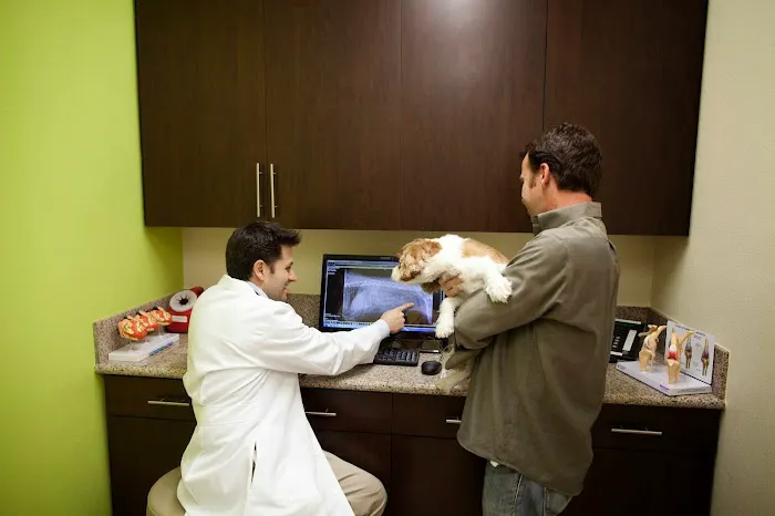 Pine Animal Hospital & Integrative Wellness Center Picture 10